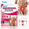 Пластырь от менструальной боли Sumifun Menstrual Pain Patch, уп. 8 шт.